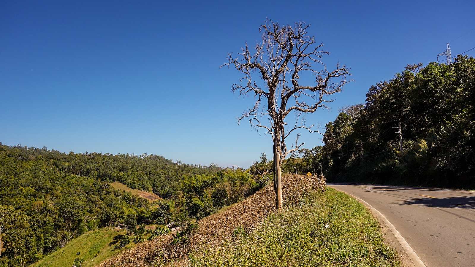 A quiet mountain road through forested hills in northern Thailand