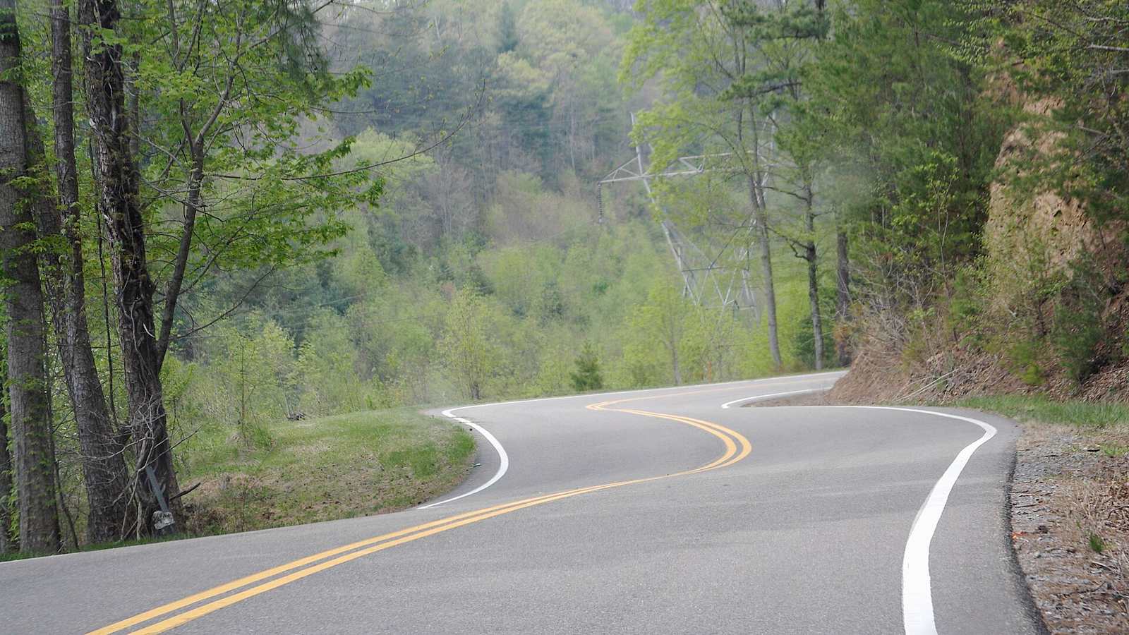A tree-lined S-bend on US 129, the Tail of the Dragon